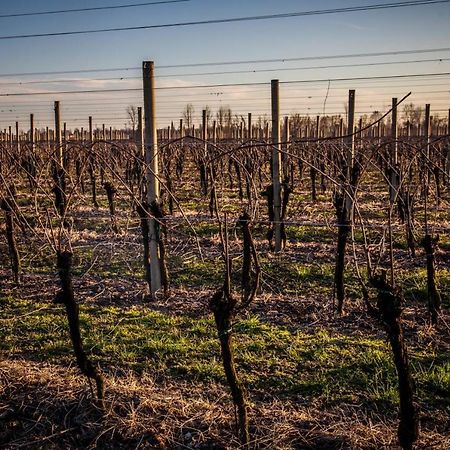 Agriturismo Il Casone Zoppola Zewnętrze zdjęcie