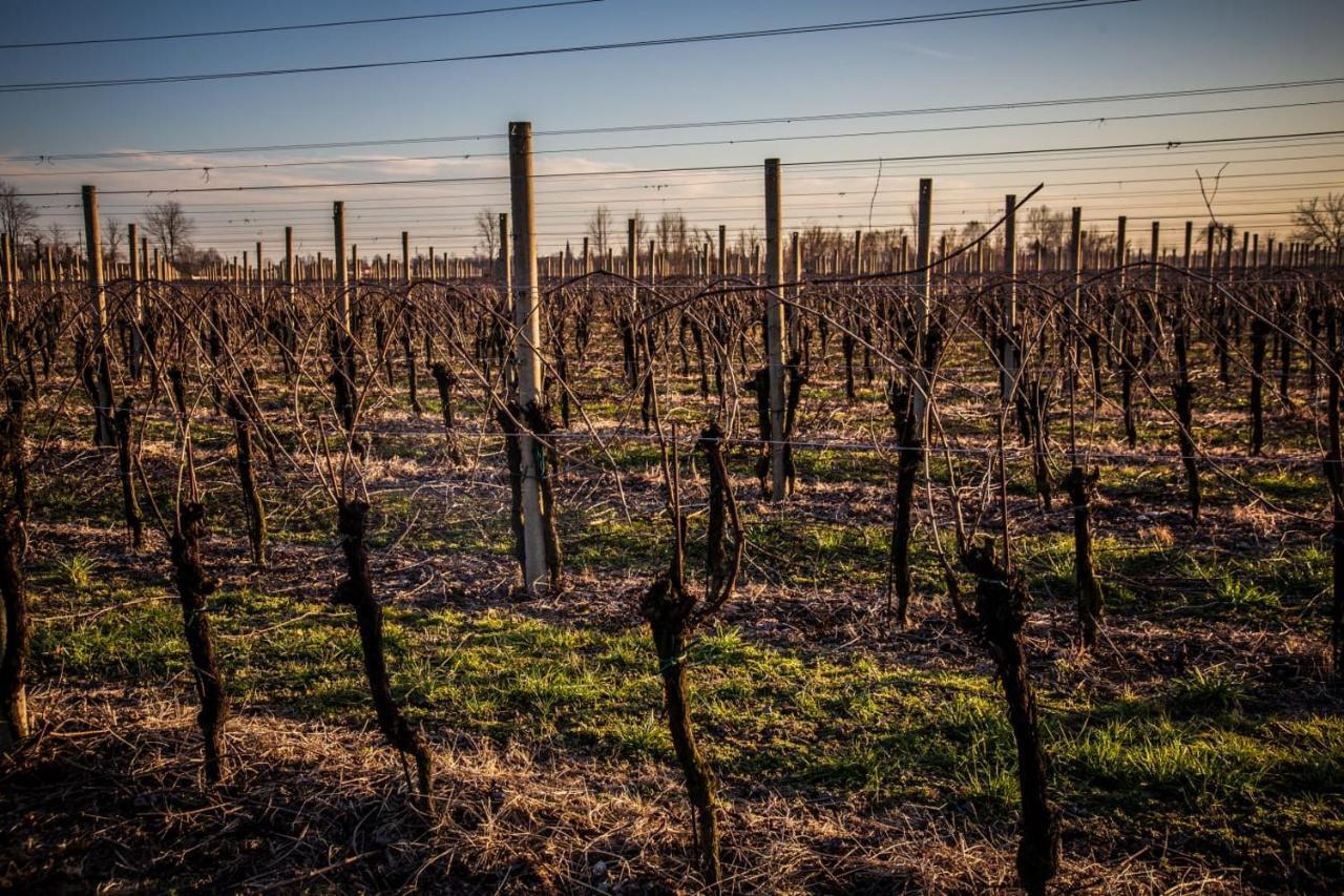 Agriturismo Il Casone Zoppola Zewnętrze zdjęcie